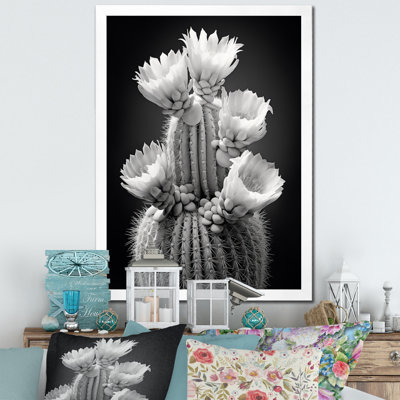 Iyaad " Grey Cactus Elegance in Monochrome II " Color Photography Print