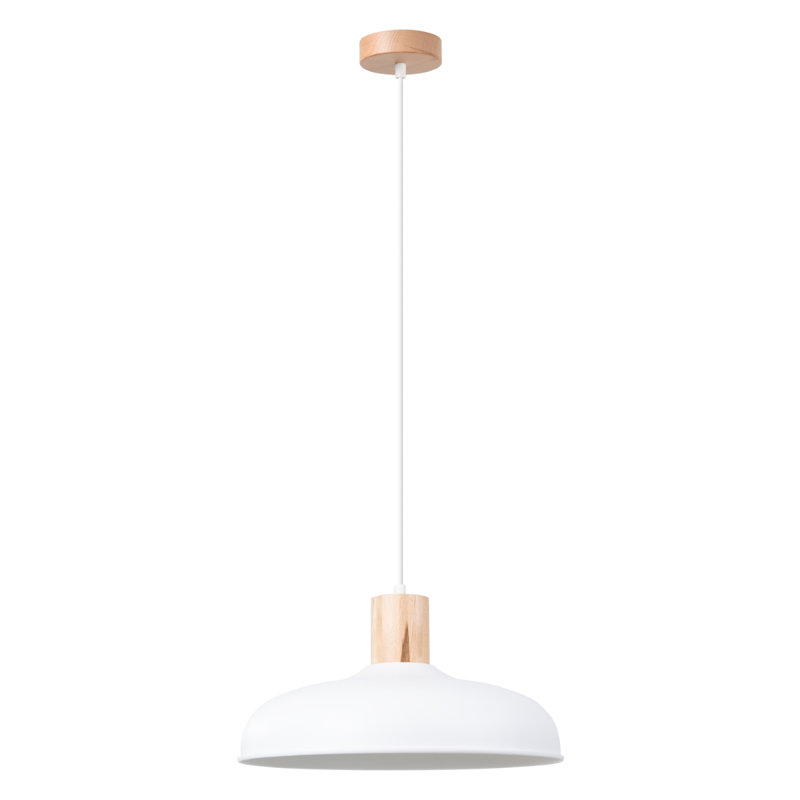1 - Light Stainless Steel Pendant, White