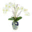 Orchid Arrangement In A Ceramic Vase
