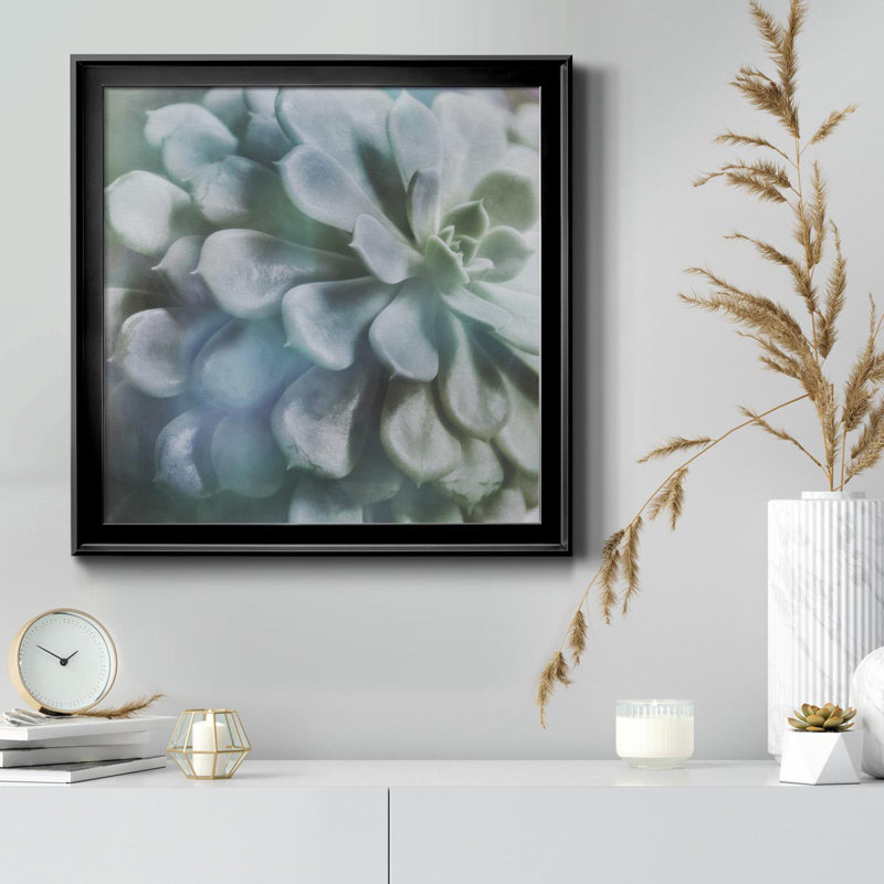 Soft Succulent I - peinture sur toile encadrée, Cadre noir, H 34,5 po x l 34,5 po x P 1,5 po