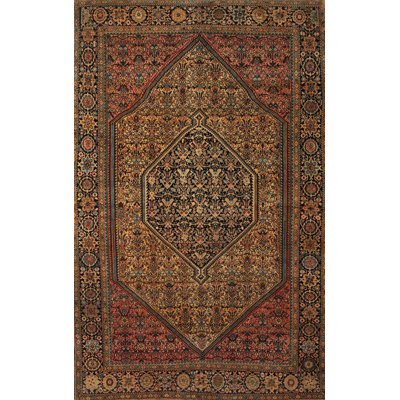 Oriental Indoor Rug