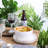 Stone Lain Albie 16-Piece Dinnerware Set Stoneware-48800375