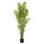 Plantes artificielles 72 "avec cadre en fer Whately Whately