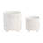 Charmayne Stoneware Ceramic Planter Set with Textured Design and Footed Base - Set of 2-1208997732