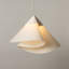 Shayd Pendant-504532300