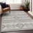 Premium Machine Washable Prisco Beige Rug-832746069