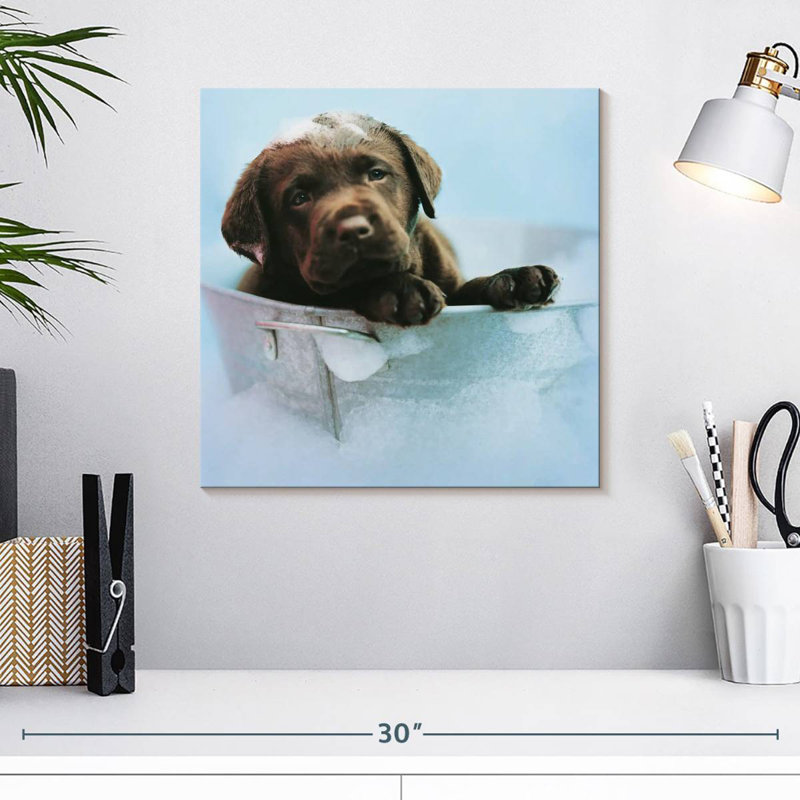 Brampt Beau The Dog, 16" H x 16" W