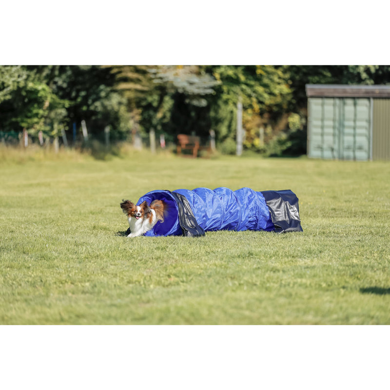 Blue and Black 6.5-ft Dog Agility Training Tunnel