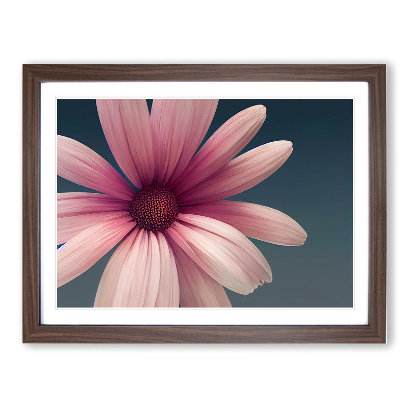 Cute Daisy Flower - Framed Print, 46cm H x 64cm W x 2cm D, Walnut