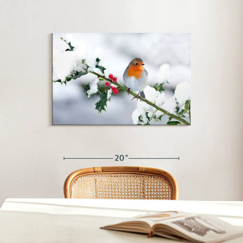 Winter Robin Songbird