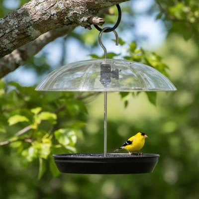 Adjustable Platform Bird Feeder For Outdoors With Hanging Metal Seed Tray, Clear Rainproof Dome, Black