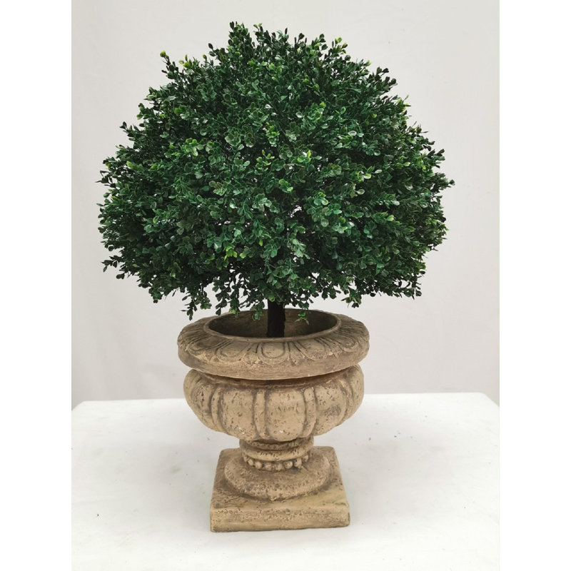 Faux Topiary, 15" H x 25" W x 25" D