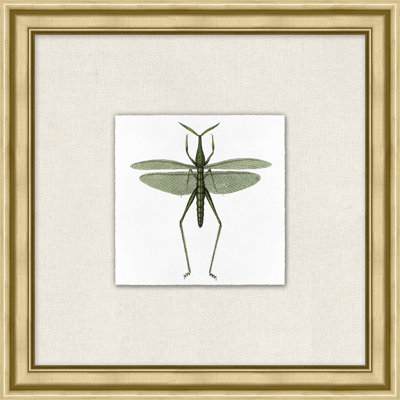 Flying Specimen 4 Print by Lillian August