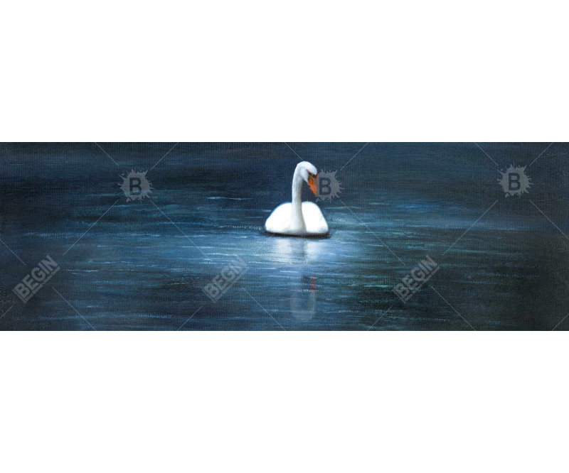 Magnifique toile de cygne | Décorations romantiques à cadre bleu