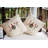 Holiday Essence Outdoor Reversible Throw Pillow-2072778869