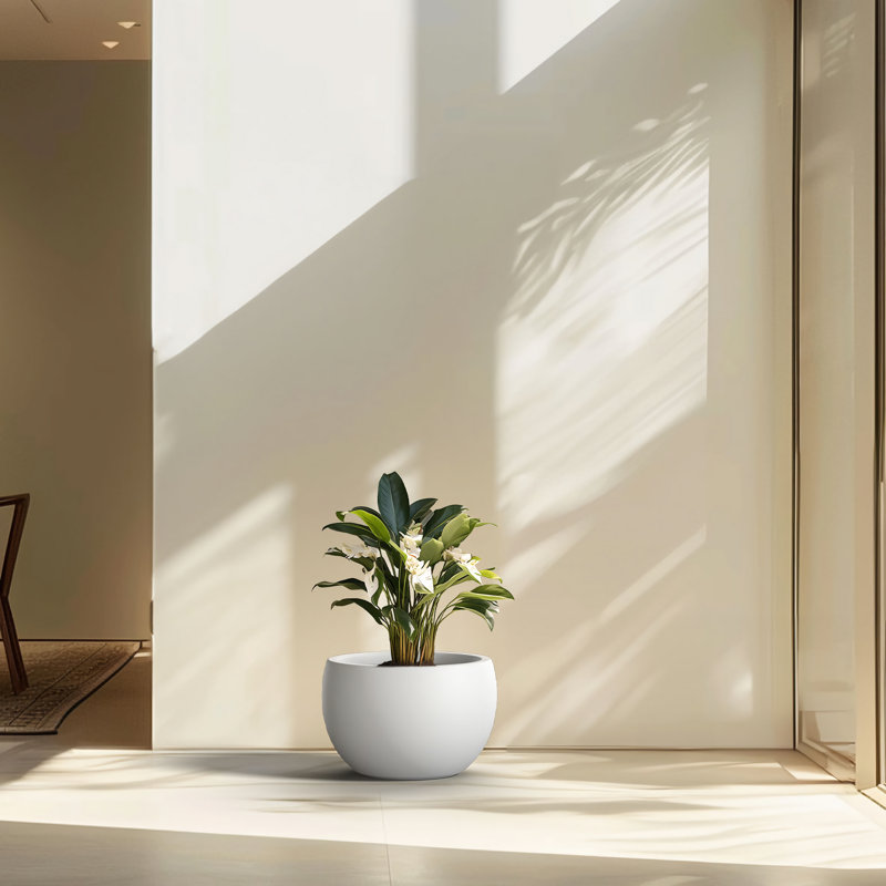 Pot à fleurs en ciment Highwoods, H 7,87 po x l 11,81 po x P 11,81 po, Blanc éclatant