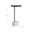 Kolbie Iron End Table