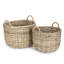 Arwan Other Log Carrier