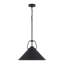 Luminaire suspendu 18 po noir-129402190