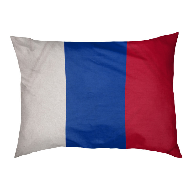Coussin pour chien hockey Las Vegas, Grand (l 50 po x P 40 po x H 17 po), Blanc / Bleu / Rouge