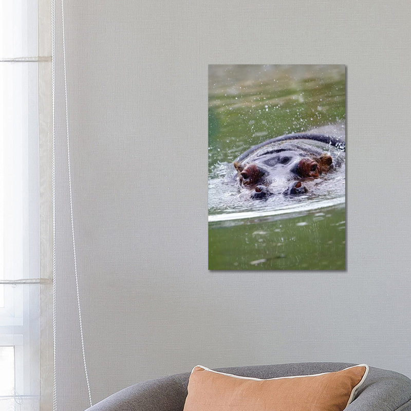 Hippo II by Goran Anastasovski - Wrapped Canvas Print, 66.04 cm H x 45.72 cm W x 1.91 cm D