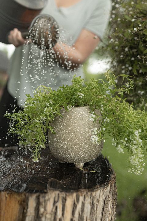 Planters