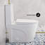 St. Tropez One Piece Elongated Toilet Dual Vortex Flush 1.1/1.6 gpf