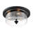 Weccacoe Glass Flush Mount-1741368691