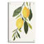  «Lemon Branch 1» par Annie Warren, art mural en verre acrylique, 24 po x 36 po-1984178886