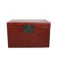 Accent Trunk