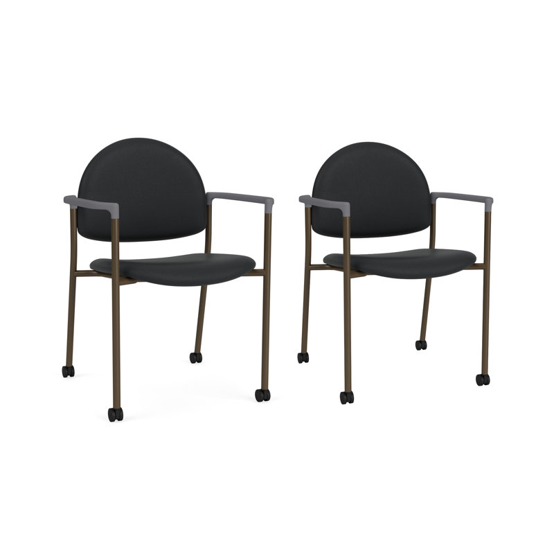 Chaise d'invité à chat avec roulettes, Bronze, Modena Graphite