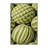 Washable Canary Melon Fruits Area Rug-1378988521
