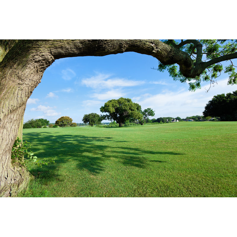 Terrains de golf d'Apomares, H 20 po x l 30 po