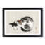 Sleeping Cat by Kono Bairei - Picture Frame Painting Print-55739819-55739818