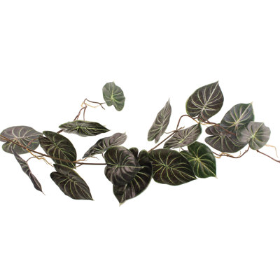120cm Plant