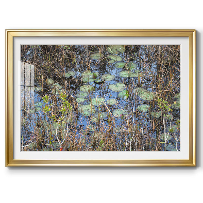 The Marsh, reproduction d'art encadrée, H 27 po x l 39 po x P 1,5 po, Or