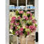 26" Grapevine Wreath with Peonies, Hydrangeas and Magnolias