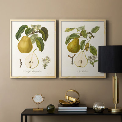 Vintage Pears I-Premium Framed Print -Ready to Hang - No Nails Required - No Nails Required