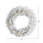 Couronne lumineuse en polychlorure de vinyle (PVC) 24 po Colorado