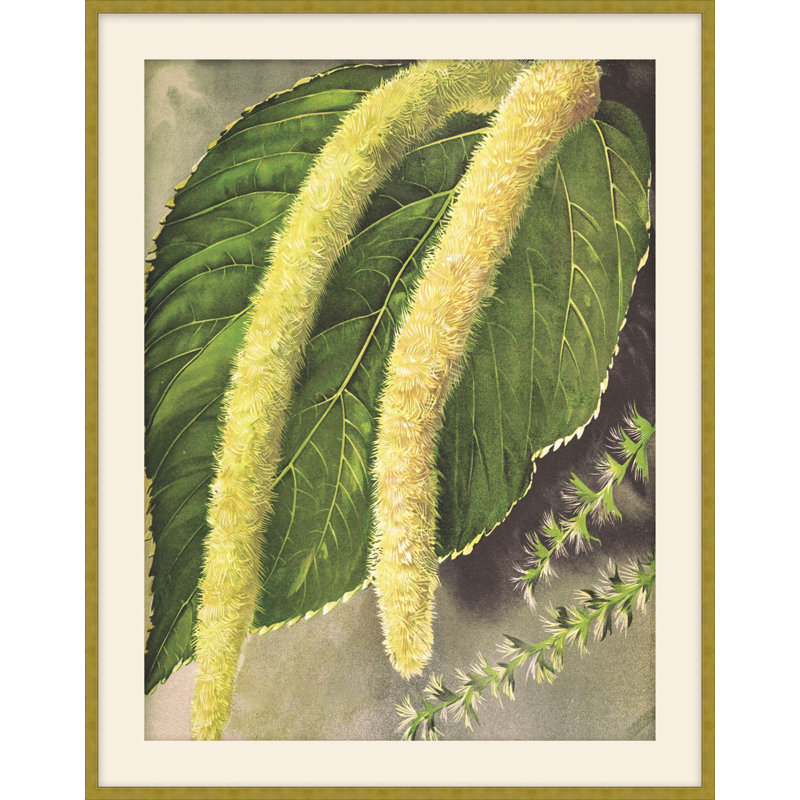 Jewel Blooms 2 Print, 39.5" H x 31.5" W