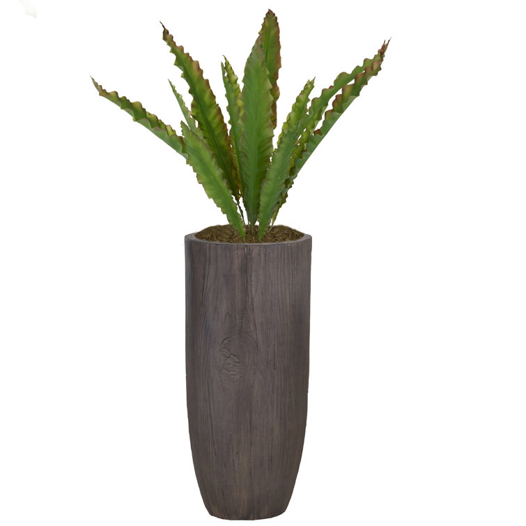 52'' Faux Palm Tree in Fiberstone Planter