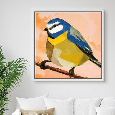 " Blue, Yellow, White Finch Animals "