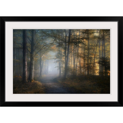 «Straub Autumn Symphony» par Norbert Maier - photographie