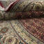 Kenlay Oriental Area Rug in Red