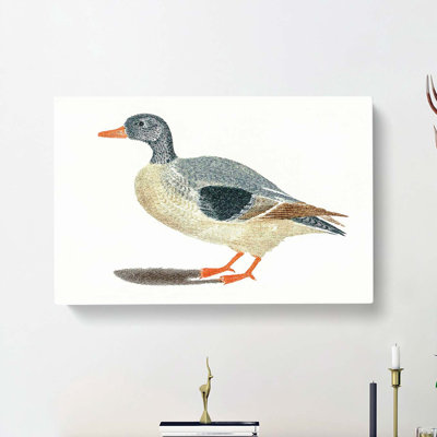 Duck by Johan Teyler - Wrapped Canvas