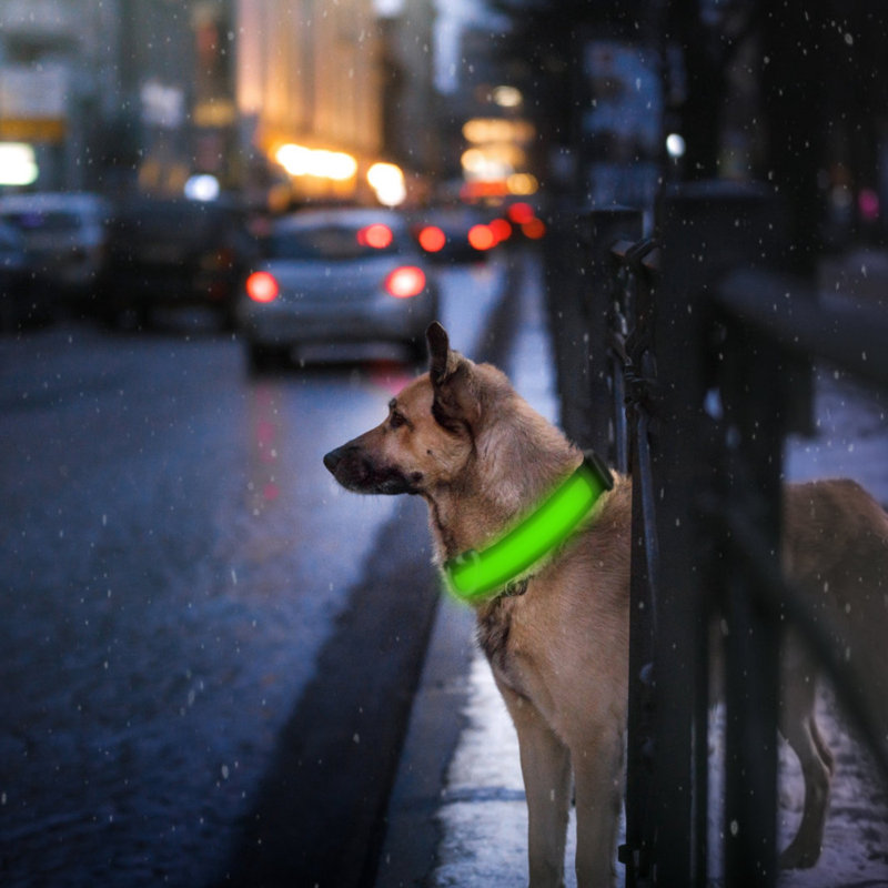 Dog Collar, Green