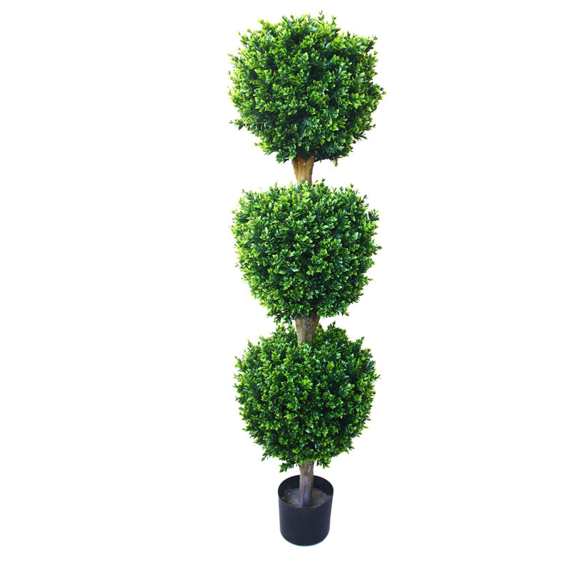 152.4cm Faux Boxwood Tree in Pot