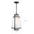 Ryan Outdoor Hanging Lantern