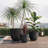 Lightweight MGO Planter Set Of 3,16.93"+13.78"+11.02" Dia Round Concrete Stackable Flower Pots With Drainage Holes And Rubber Plug,Crackle Stone Texture For Patio Garden Balcony Indoor Outdoor-1836886011
