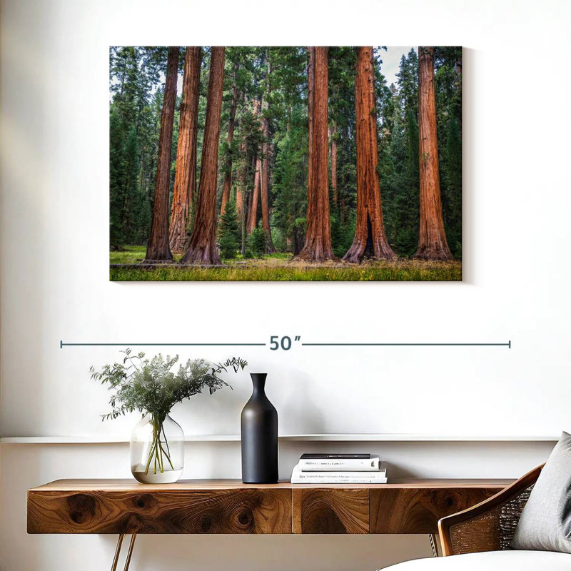 Harnek superbe Sierra Redwoods, H 26 po x l 39 po